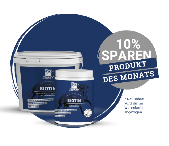 DER PdM September Webbanner DER PdM September Webbanner